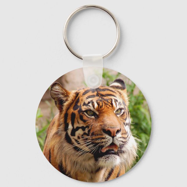 Beautiful tiger face keychain (Front)