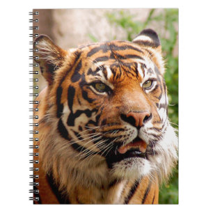 Beautiful tiger face notebook