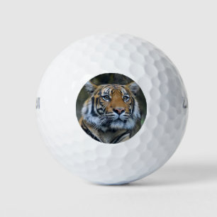 Beautiful Tiger Golf Balls