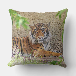 Beautiful Tiger Pillow! Throw Pillow