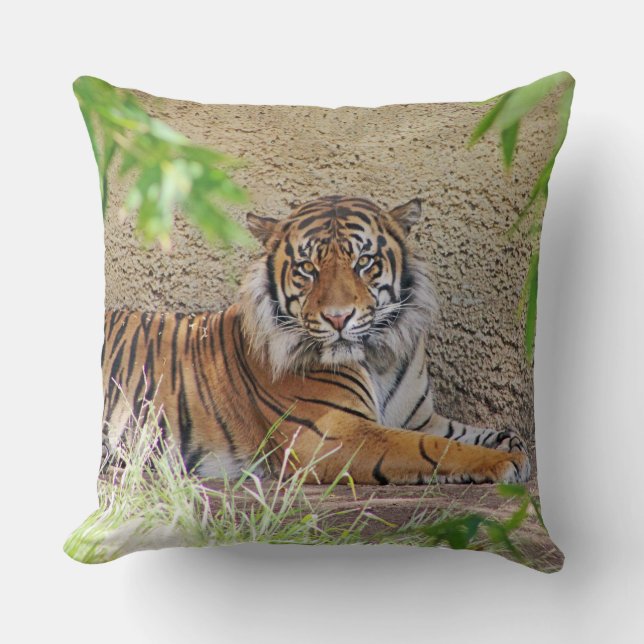 Beautiful Tiger Pillow! Throw Pillow (Front)