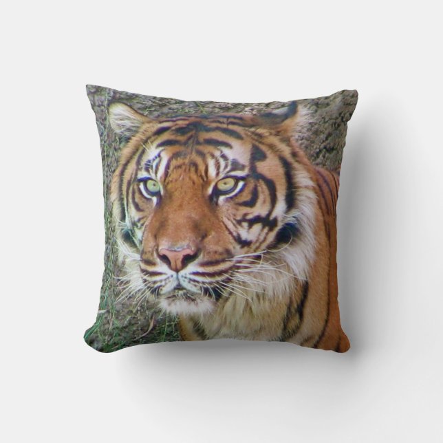 Beautiful Tiger Pillow! Throw Pillow (Front)