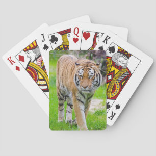 Beautiful Tiger Playing Cards