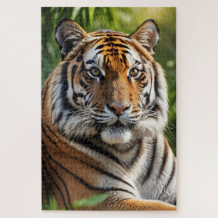 Beautiful Tiger Profile Jigsaw Puzzle