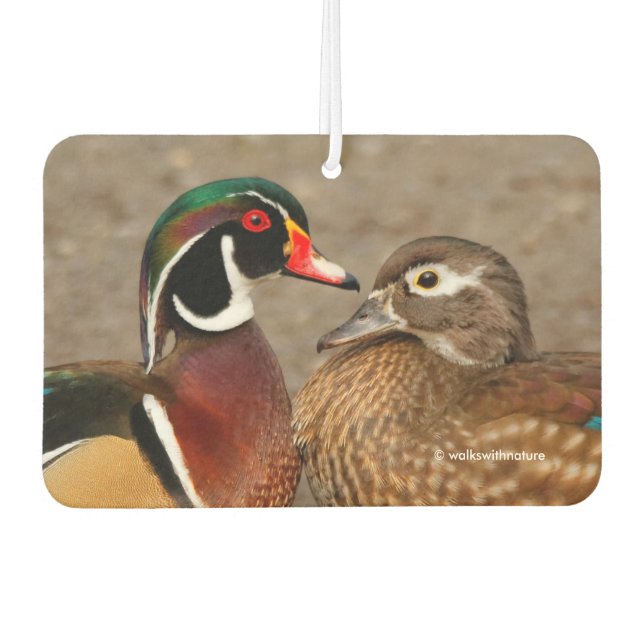 Beautiful Touching Moment Between Wood Ducks Air Freshener (Front)
