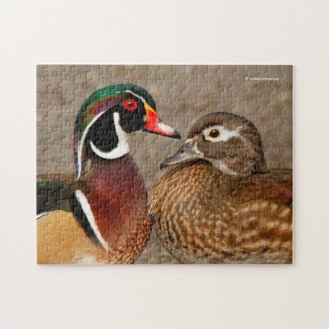 Beautiful Touching Moment Between Wood Ducks Jigsaw Puzzle (Horizontal)