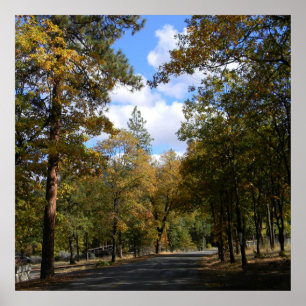 Beautiful town.. poster