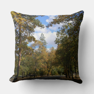 Beautiful town... throw pillow