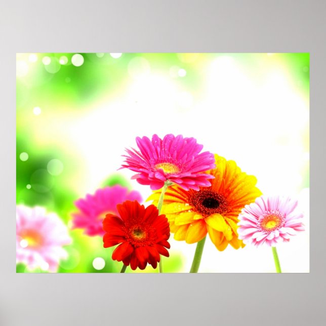 Beautiful tranquil blissful lovely floral scenery poster (Front)