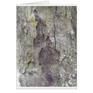 Beautiful Tree