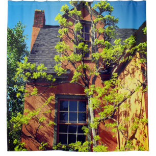 Beautiful Tree Shower Curtain