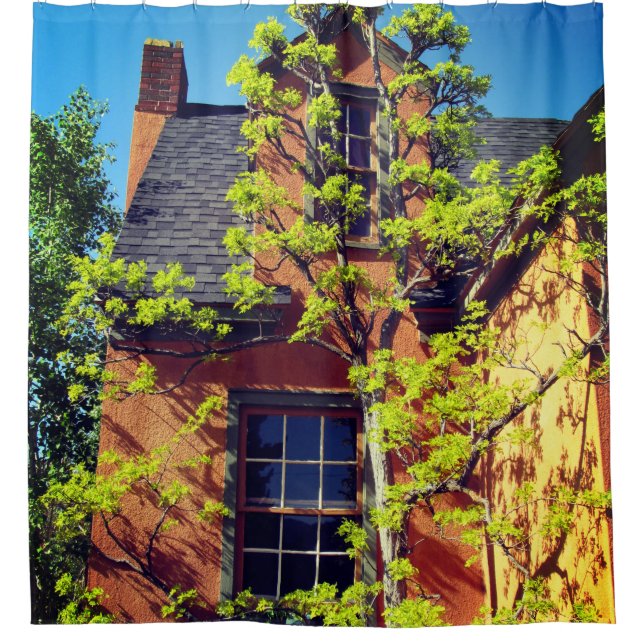 Beautiful Tree Shower Curtain (Front)