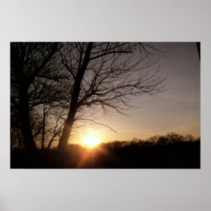 Beautiful Tree Sunset Landscape Photo  Poster