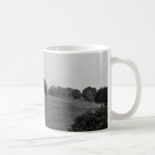 Beautiful trees and nature in fog coffee mug