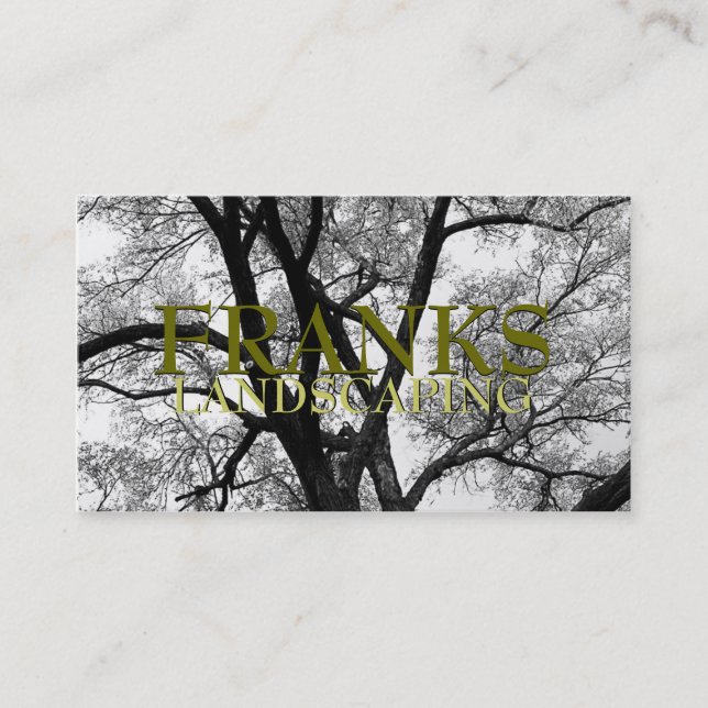 Beautiful Trees Nature Business Cards (Front)