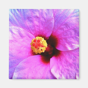 Beautiful Trendy Pink Purple Flower Nature Magnet