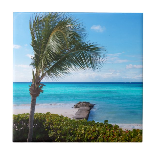 Beautiful Tropical Beach Breezy Palm Tree Tile (Front)