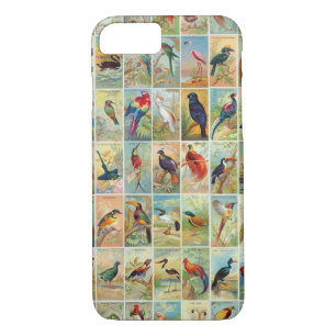 Beautiful Tropical Birds 19th-century Illustration Case-Mate iPhone Case