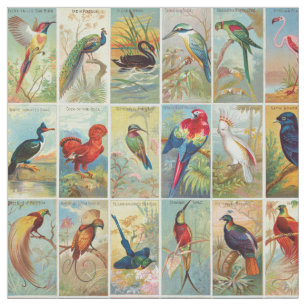 Beautiful Tropical Birds 19th-century Illustration Fabric