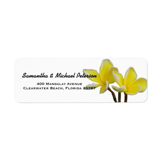 Beautiful Tropical Plumeria Flowers (Front)