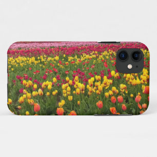 Beautiful Tulip Field, Oregon iPhone 11 Case