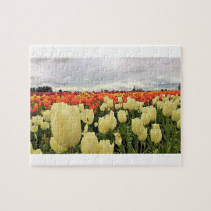 Beautiful Tulip Field, Oregon Jigsaw Puzzle