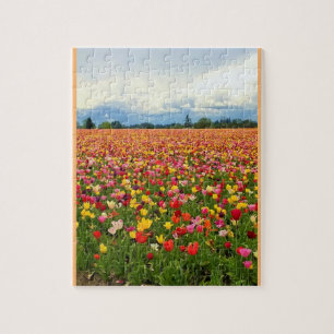 Beautiful Tulip Field, Oregon Jigsaw Puzzle