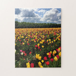Beautiful Tulip Field, Oregon Jigsaw Puzzle