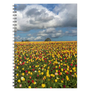 Beautiful Tulip Field, Oregon Notebook