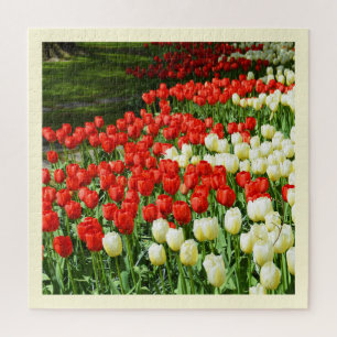Beautiful tulips jigsaw puzzle