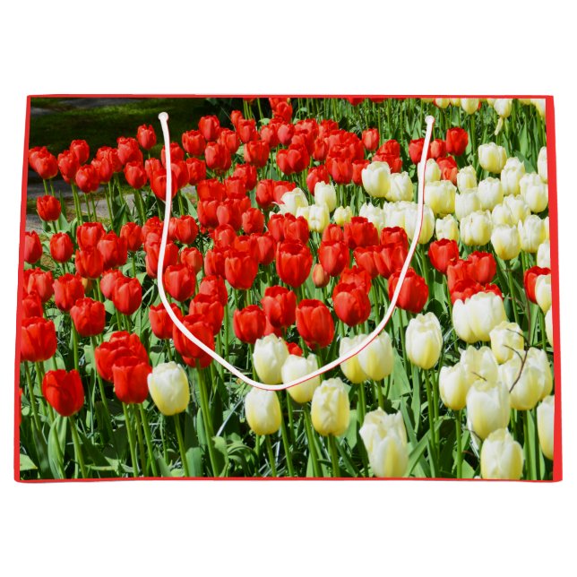 Beautiful tulips large gift bag (Front)