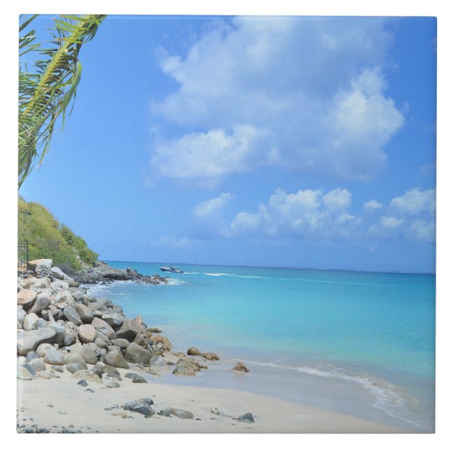 Beautiful Turquoise Tropical Beach Tile (Front)