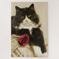 Beautiful Tuxedo Cat with Red Rose on Sepia