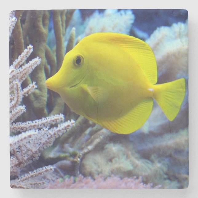Beautiful Underwater Yellow Tang Fish and Coral Stone Coaster (Front)