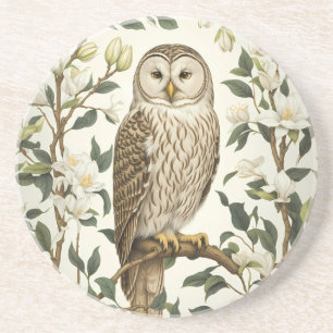 Beautiful Ural Owl And Magnolia Blossoms Coaster