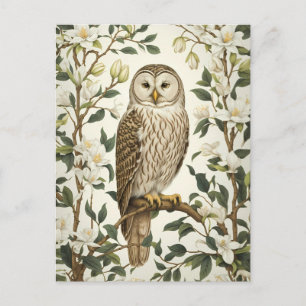 Beautiful Ural Owl And Magnolia Blossoms Postcard