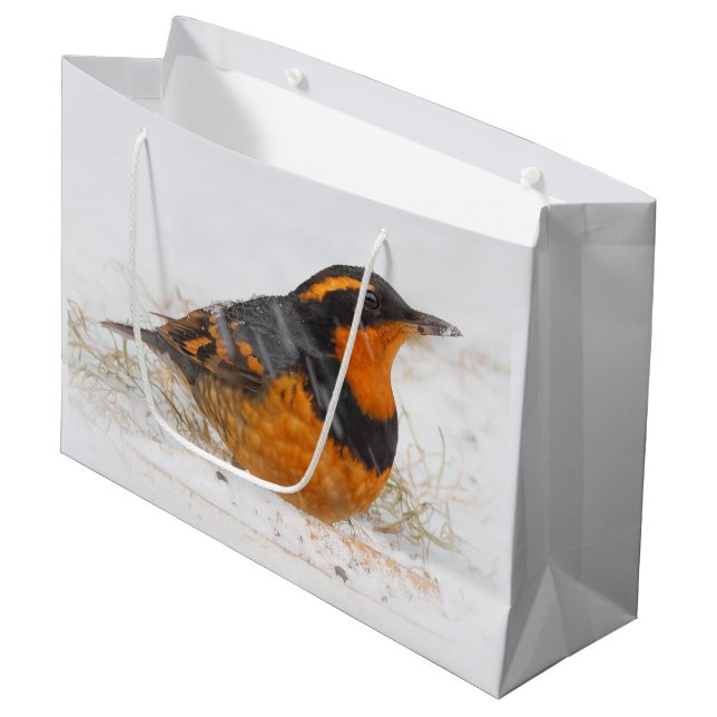 Beautiful Varied Thrush on a Snowy Winter's Day Large Gift Bag (Front Angled)