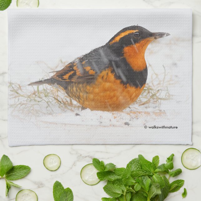 Beautiful Varied Thrush Songbird in the Snow Kitchen Towel (Folded)