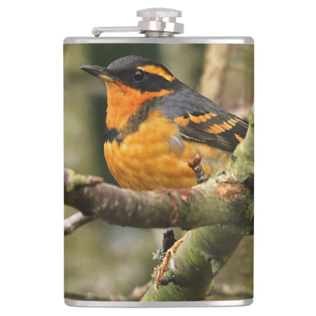 Beautiful Varied Thrush Songbird in the Tree Hip Flask (Front)
