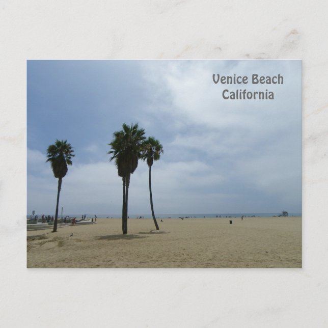 Beautiful Venice Beach Postcard! Postcard (Front)