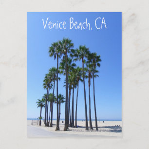Beautiful Venice Beach Postcard! Postcard