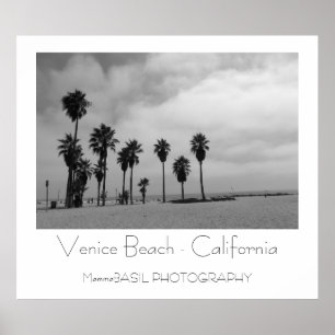 Beautiful Venice Beach Poster! Poster