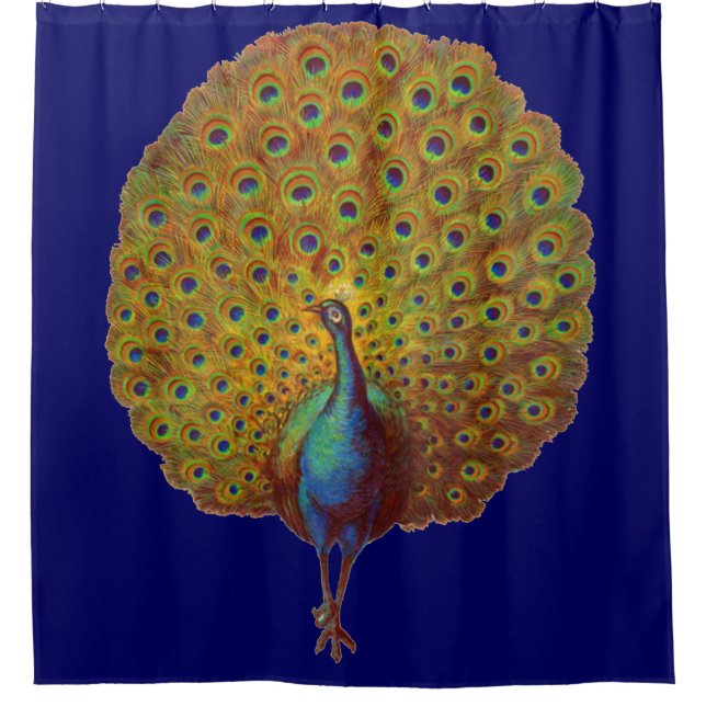 beautiful Victorian peacock print (Front)
