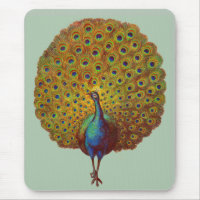 beautiful Victorian peacock print
