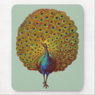 beautiful Victorian peacock print Mouse Pad