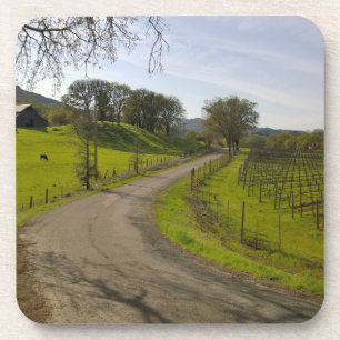 Beautiful Vineyard in Napa Valley California Coaster