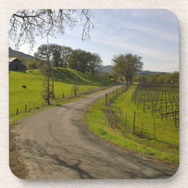 Beautiful Vineyard in Napa Valley California Coaster (Front)