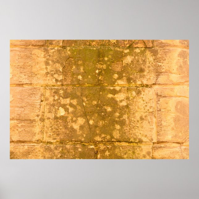 Beautiful vintage background. Abstract grunge deco Poster (Front)