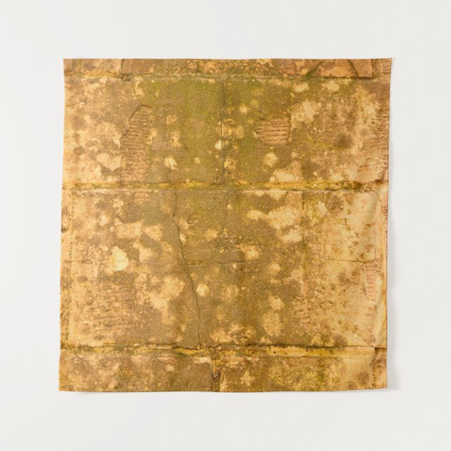 Beautiful vintage background. Abstract grunge deco Tapestry (Front)