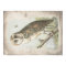Beautiful Vintage Barn Owl poster.